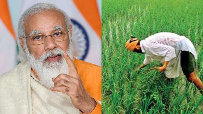 PM Kisan Yojana: These farmers will now get 10000 rupees instead of 6000, register immediately
